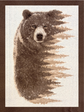 Coperta "Orso Bruno"